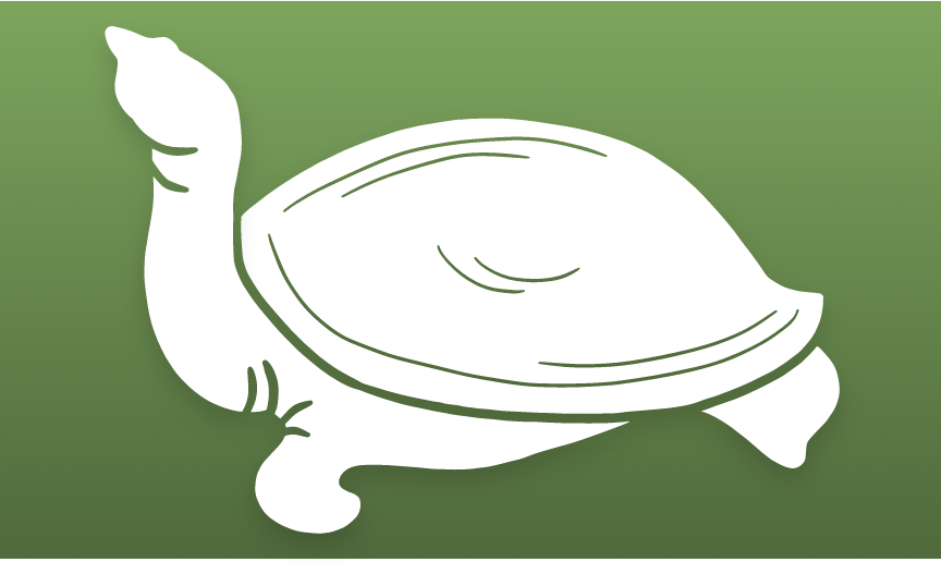 reptiles